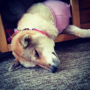 まったり？(^o^;)