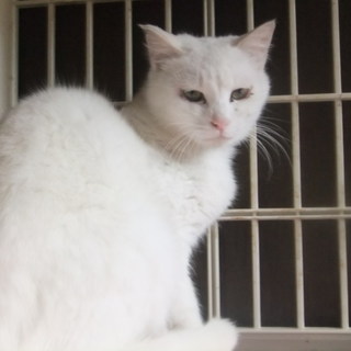 ありがとうございました❗