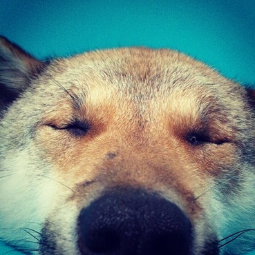 こんな事もあったね〜(*´ω｀*)