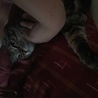の写真