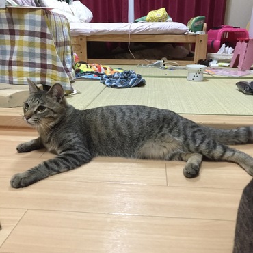 の写真