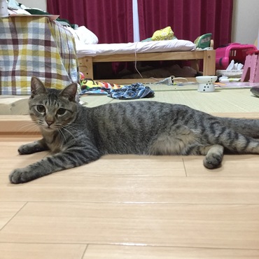 の写真