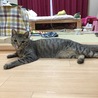 の写真