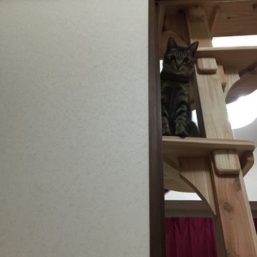 の写真
