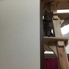 の写真