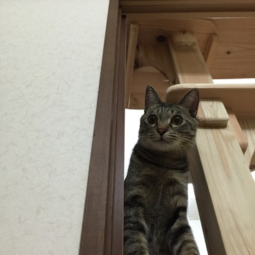の写真