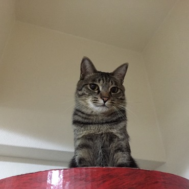 の写真