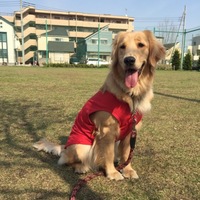 ベル