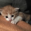 お答えできなかった方、申し訳ございません