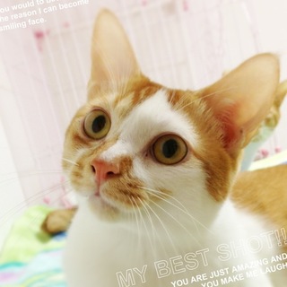 ハンディ・マロンくん♪10ヶ月くらい