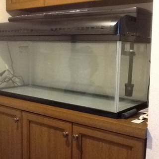 大型水槽ですよ！