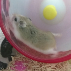 「元気にしています(近況報告です)」サムネイル2