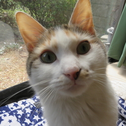 Birthday(*⌒ー⌒)o∠★:゜*ポン♪