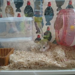 「元気にしています(近況報告です)」サムネイル3