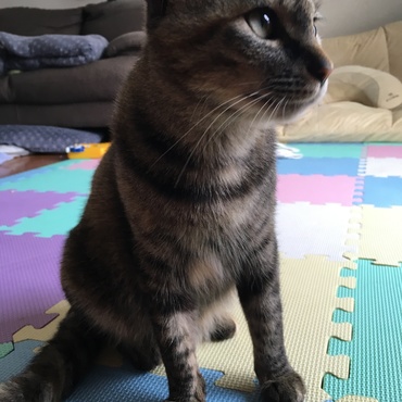 お疲れポ子さん