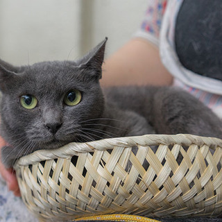 〈応募多数で一旦募集停止！〉ツン多め！ロシアン風♀