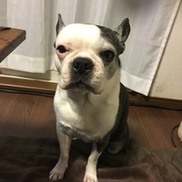 わかめ