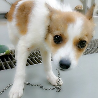 応募者多数により募集ストップします