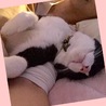 の写真