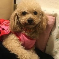 ラナ