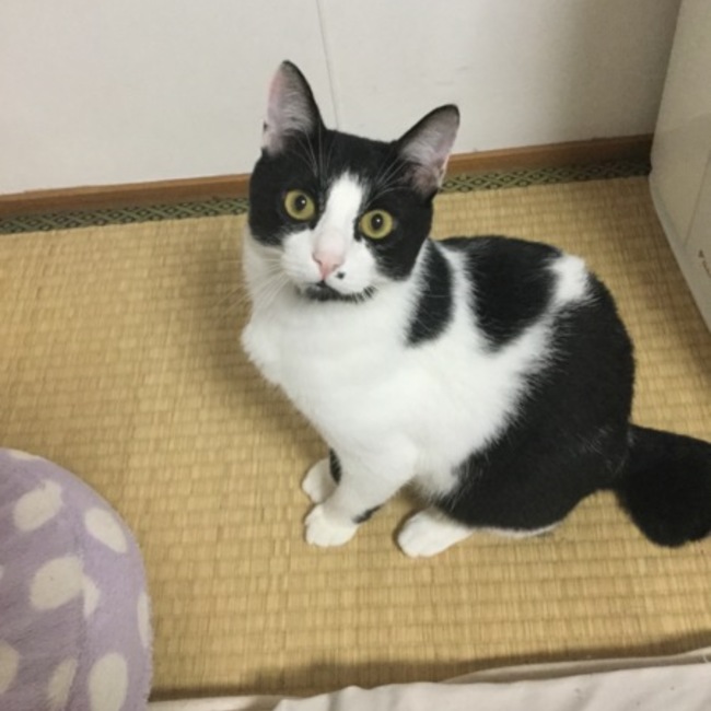 haru123のカバー写真