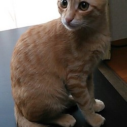 ご心配おかけしました。