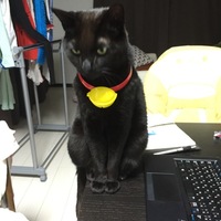 ぢぢ