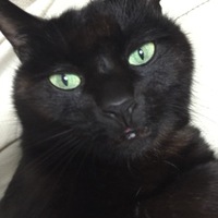 ぎんぢろう