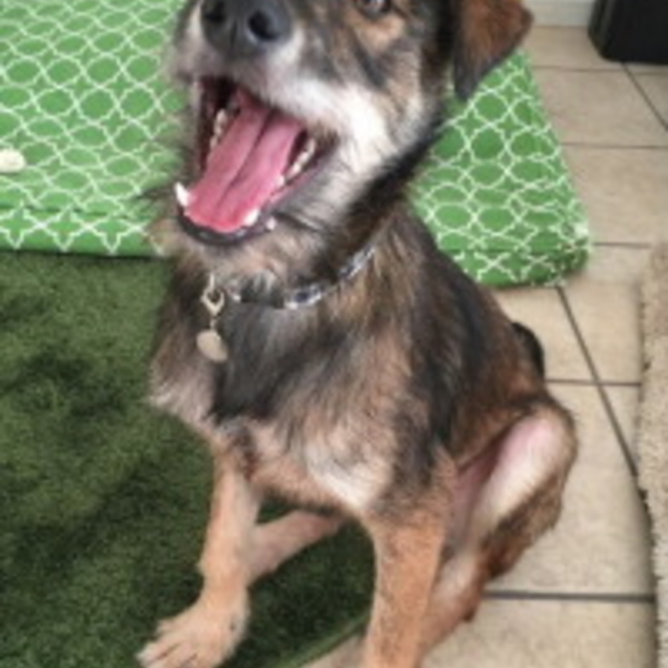 ミックのカバー写真