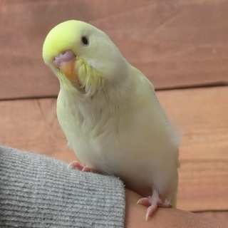 沢山のご応募、有難うございました。