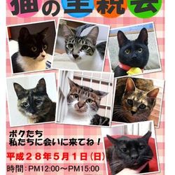 戸田ニャンコおたすけ隊　譲渡会