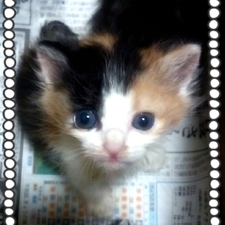 やさしい家族に迎え入れていただきました。