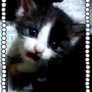 やさしい家族に迎え入れていただきました。