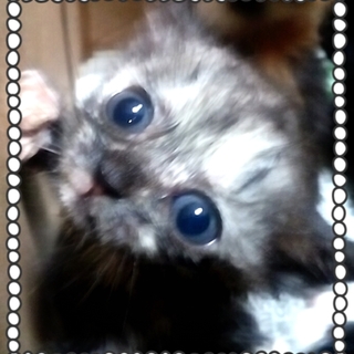 やさしい家族に迎え入れていただきました。