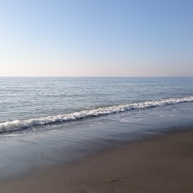 さくぶんのカバー写真