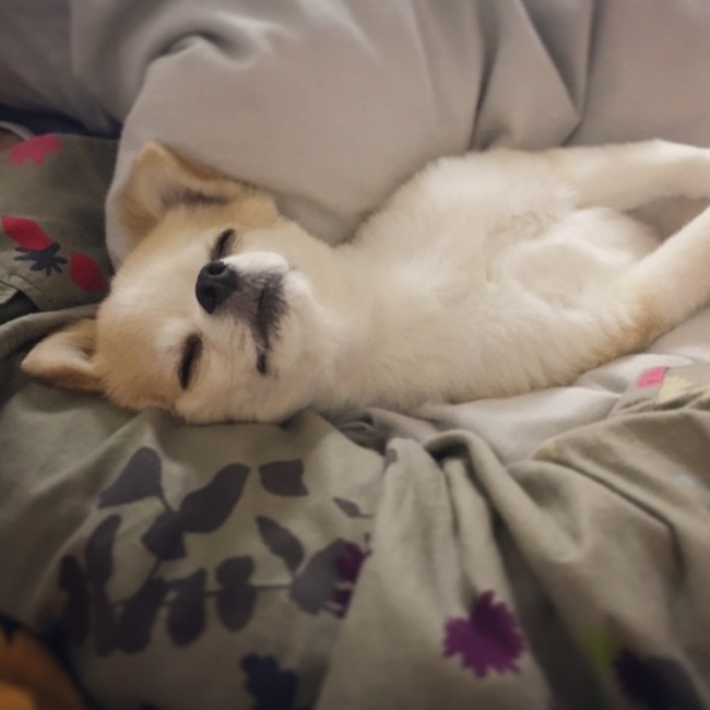 RiE524のカバー写真