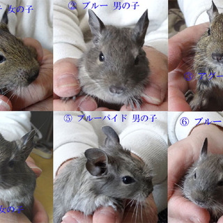 よく慣れた可愛い子達です！！