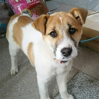 呼ぶとそばに来てくれる５か月男の子