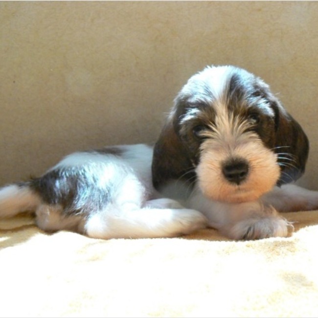 ココタクのカバー写真