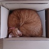 みっちり(*´ω`*)