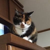 びーたろう