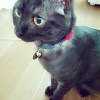ボス