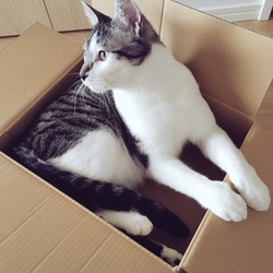 「もうすぐ誕生日！」サムネイル2