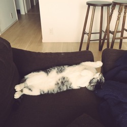 「もうすぐ誕生日！」サムネイル3