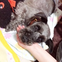 バトラー