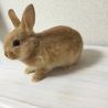 の写真
