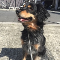ショーン
