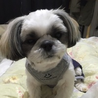 ルーシー