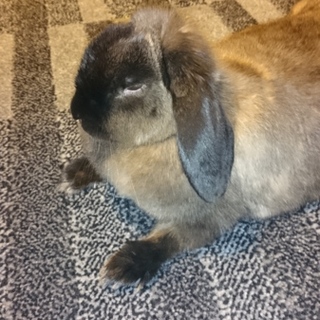 ずっと可愛がってくださる方