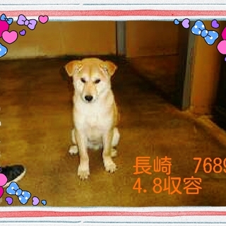 里親様が決まりました　ありがとうございました